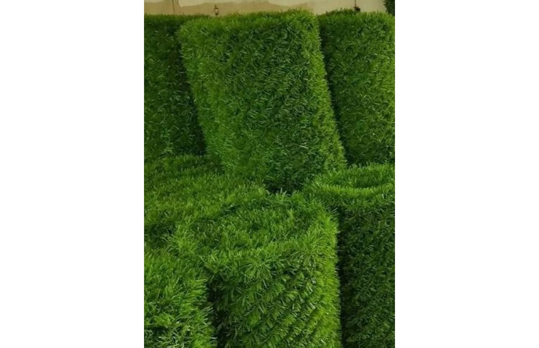 Plasa gard viu artificial, imitatie Gard Viu, plasa paravan verde, 1.7x10metri, Virtuoso